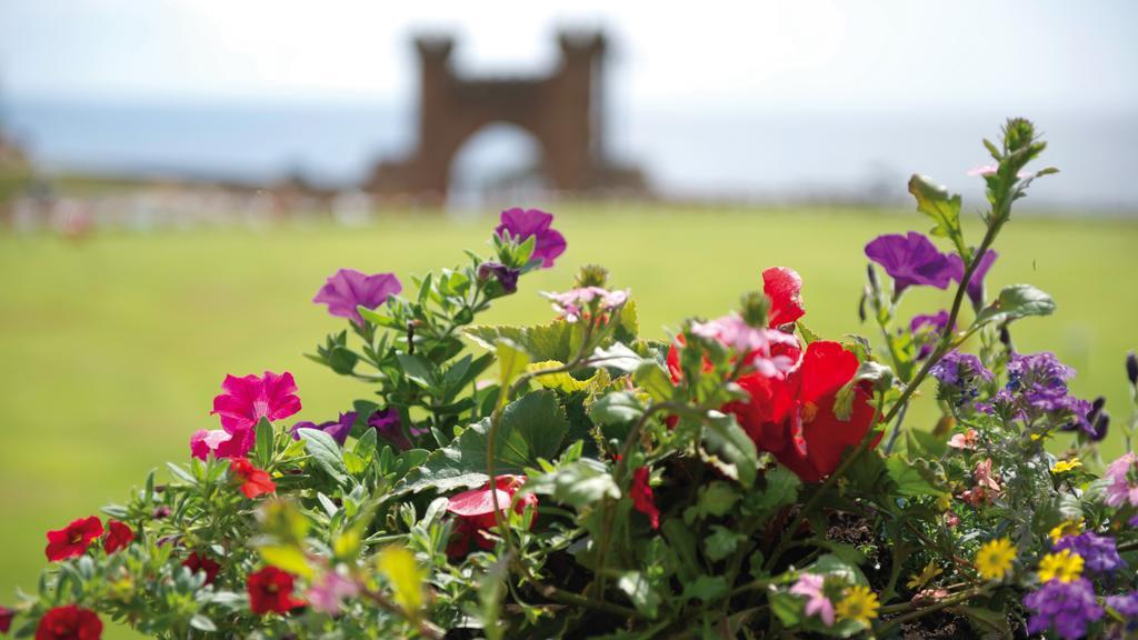 The Belmont Hotel Sidmouth Buitenkant foto